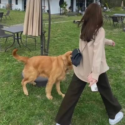 领袖
